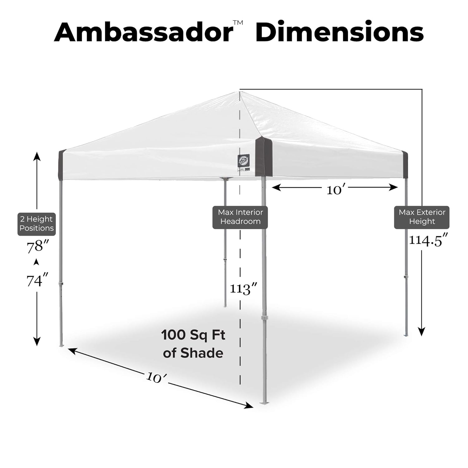 Amazoncom E Z UP Ambassador Instant Shelter Canopy 10 By 10
