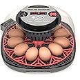 Meuiosd 12-24 Egg Incubator with Humidity Display, Egg Candler, Automatic Egg Turner, for Hatching Chickens Duck Quail Parrot