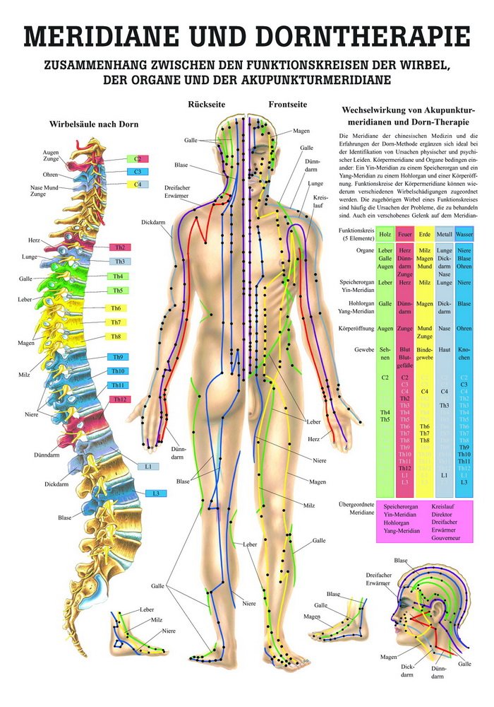 Ruediger Anatomie PO44 Meridiane and Dorntherapy Board 50 cm x 70 cm