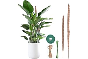 2Pcs 66in&48in Moss Pole,Bendable Plant Support for Climbing Plants,Monstera Plant Support Stakes Indoor,Adjustable Plant Sta