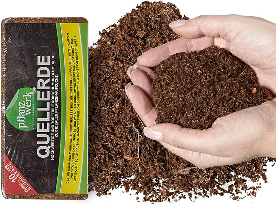 Pflanzwerk® Macetero Tierra Mantillo Tierra para macetas 20 Litro *100