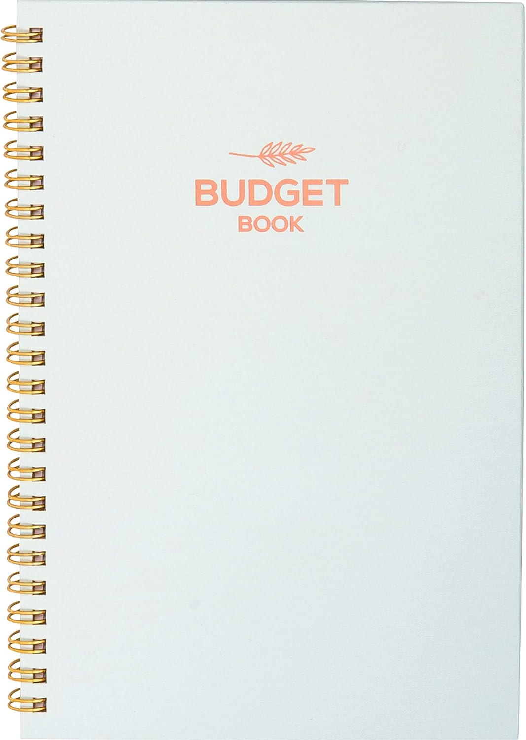 Monthly & Weekly Budget Planner Organizer – Financial Budgeting Book & Expense Tracker – Control Your Finances - Undated Start Anytime, 12 Months
