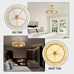 Siljoy 31.5'' Caged Ceiling Fan with Light and