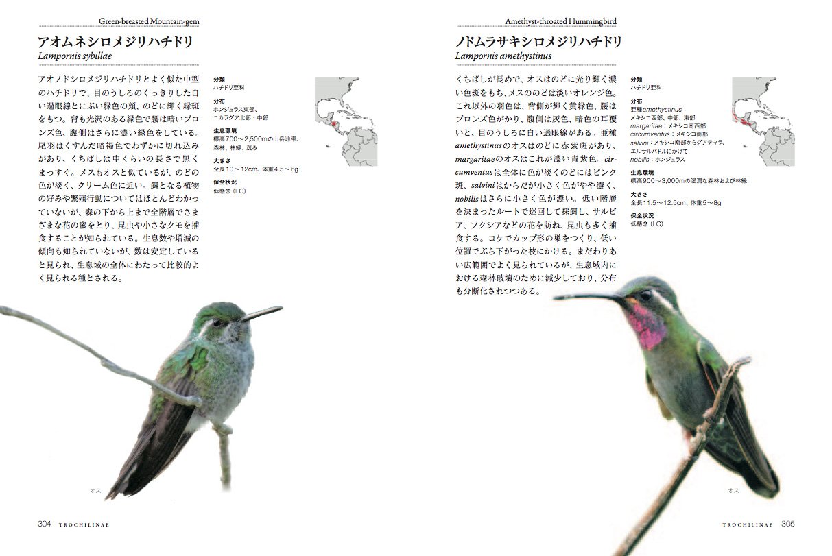 美しいハチドリ図鑑 実寸大で見る338種類 マリアン テイラー マイケル フォグデン シェル ウィリアムスン 小宮輝之 井原恵子 本 通販 Amazon