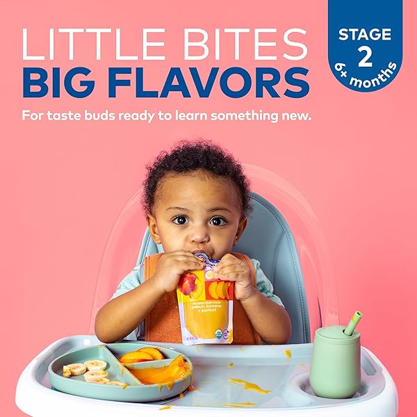 STAGE 2 | BABY FOOD VARIETY PACK: 8 CT 4OZ POUCH STAGE 2 – PEAR, PURPLE CARROT, BLUEBERRY + PEACH, BANANA, APRICOT