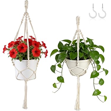 Amazon.com New Releases: The best-selling new & future releases in Hanging  Planters