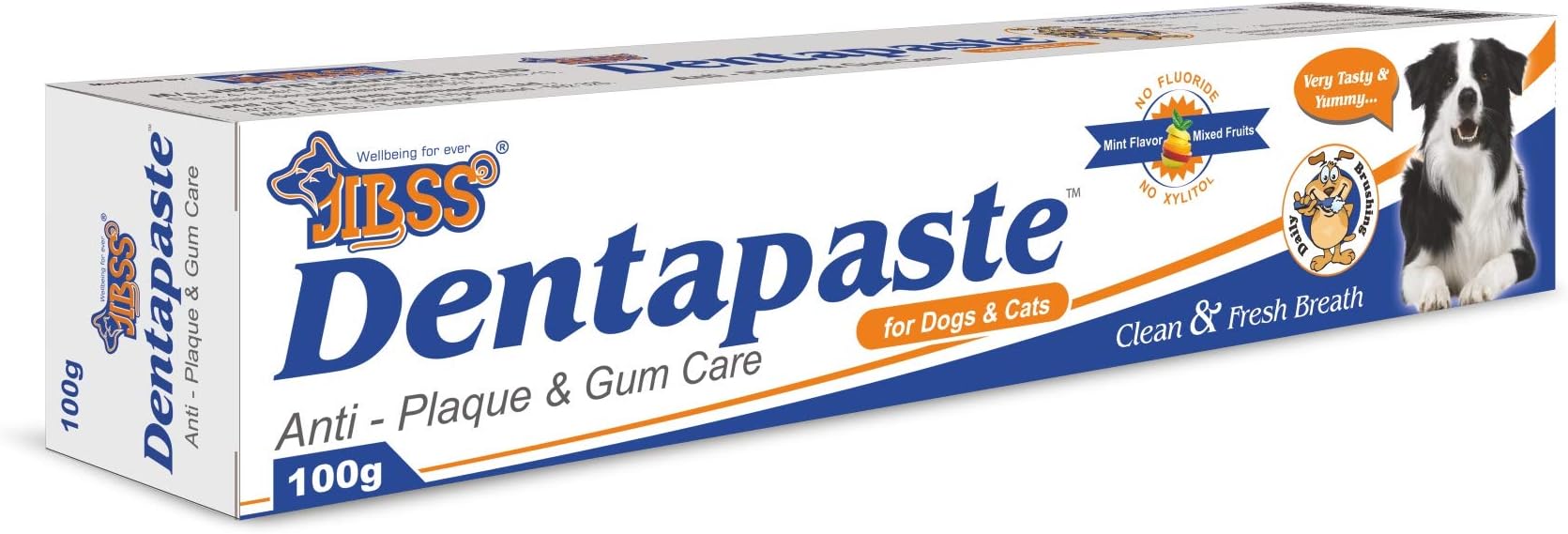 JIBSS Dentapaste, 100 gm