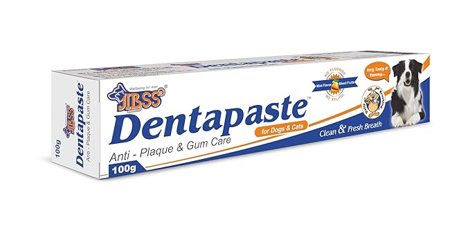 JIBSS Dentapaste, 100 gm