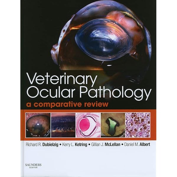 眼科病理:希少洋書専門書Ophthalmic Pathology Ocular Pathology: 9781455728749: Medicine & Health Science