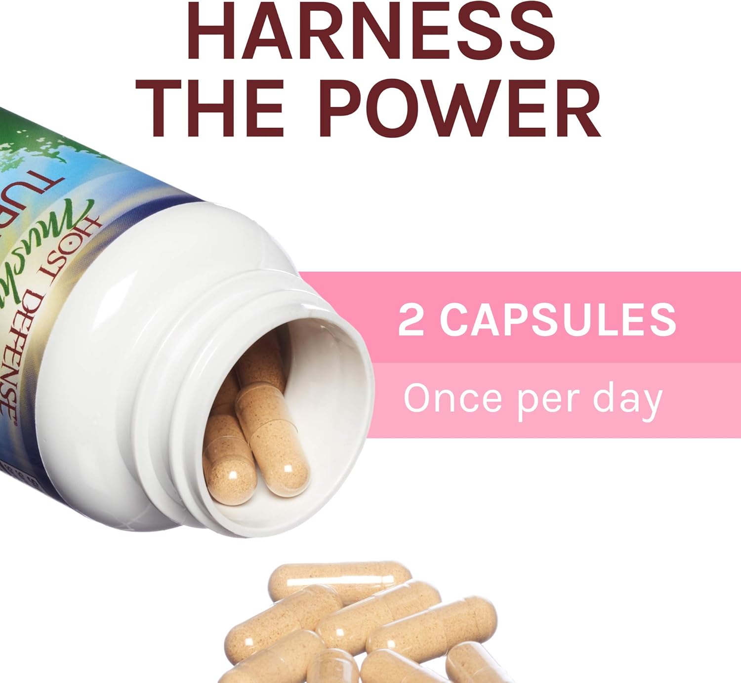 Host Defense, Turkey Tail, 120 Capsules, Natural Immune System and Digestive Support, Daily Mushroom Mycelium Supplement, USDA Organic, 60 Servings: Health & Personal Care