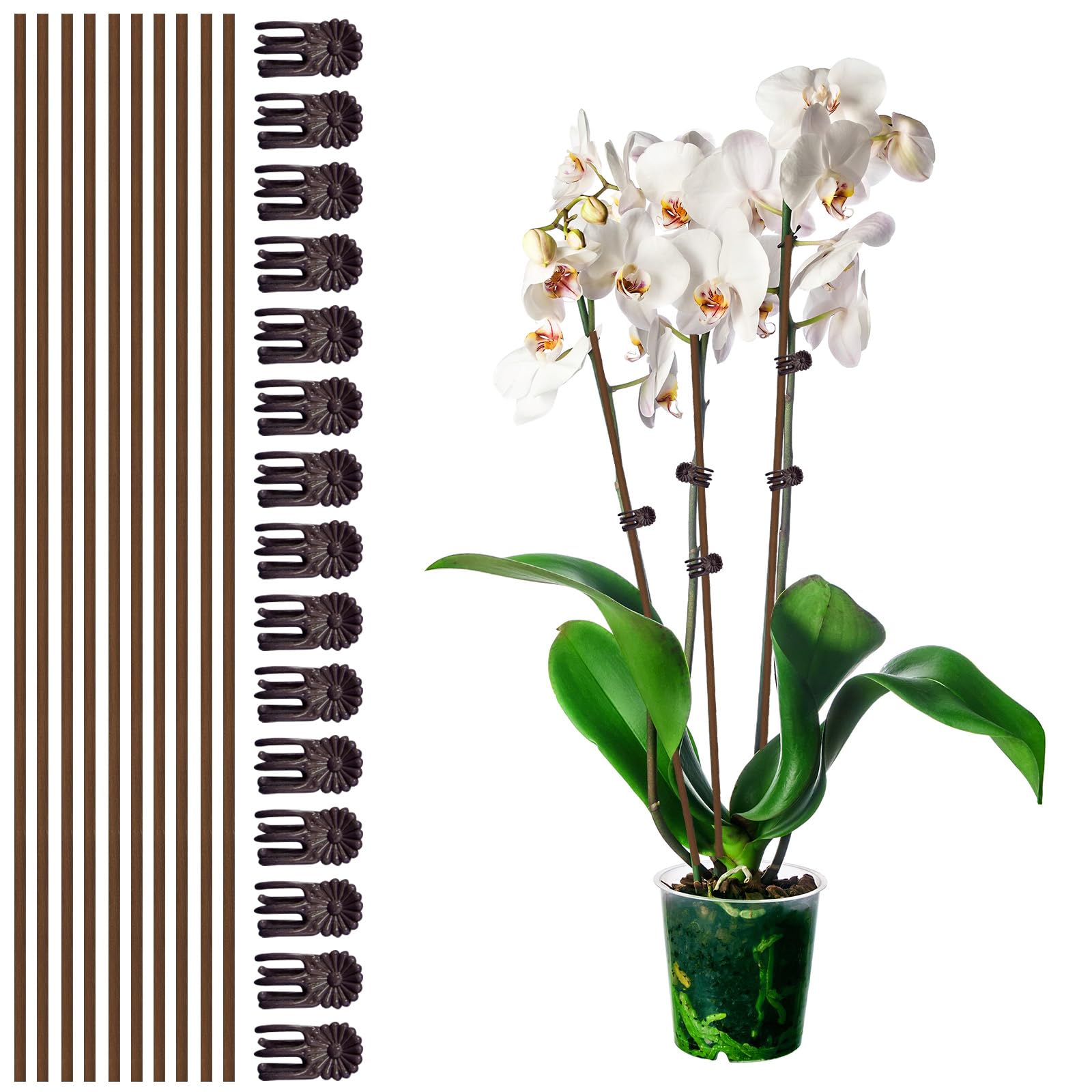 Photo 1 of 10Pcs Plant Support Stakes with 15Pcs Plant Clips, 15.75inch Tall Bendable Single Stem Sticks Orchid Clips Brown Helps Growth for Indoor Outdoor Flowers Rose Amaryllis