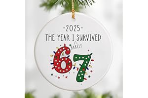 DUJITODOH Six Seven Christmas Ornament, 67 Meme Ornament, Six Seven Ornaments, Funny Christmas Ornaments 2025, Teen Gen Alpha Xmas Gift, 67 Meme Gift, Stocking Stuffers for Teens, Funny Teacher Gifts 2025