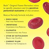 Rescue Rescue Remedy Pastilles Blackcurrant 50g Travel Tin - Bach Original view 3