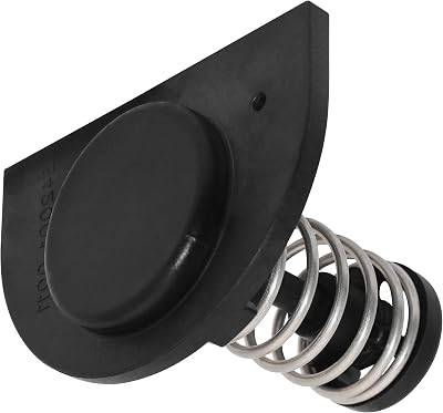 MULAN Bypass Valve Replacement Kit for Pentair Mastertemp Heater