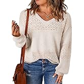 Eytino Womens Plus Size Sweater Casual Long Sleeve V Neck Crochet Knit Lightweight Pullover Sweater Tops(1X-5X)