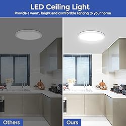 DEALGADGETS Flush Mount Ceiling Light