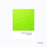 Hemway Fluorescent Green Glitter Shaker 130g Ultrafine Resin Epoxy view 2