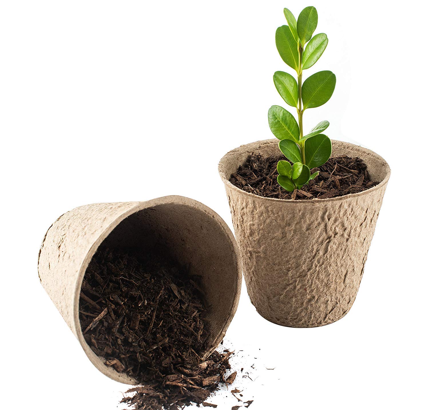 Pots en tourbe Jardin WARKHOME Lot de 96 6 cm Ronds Pots Biodégradables