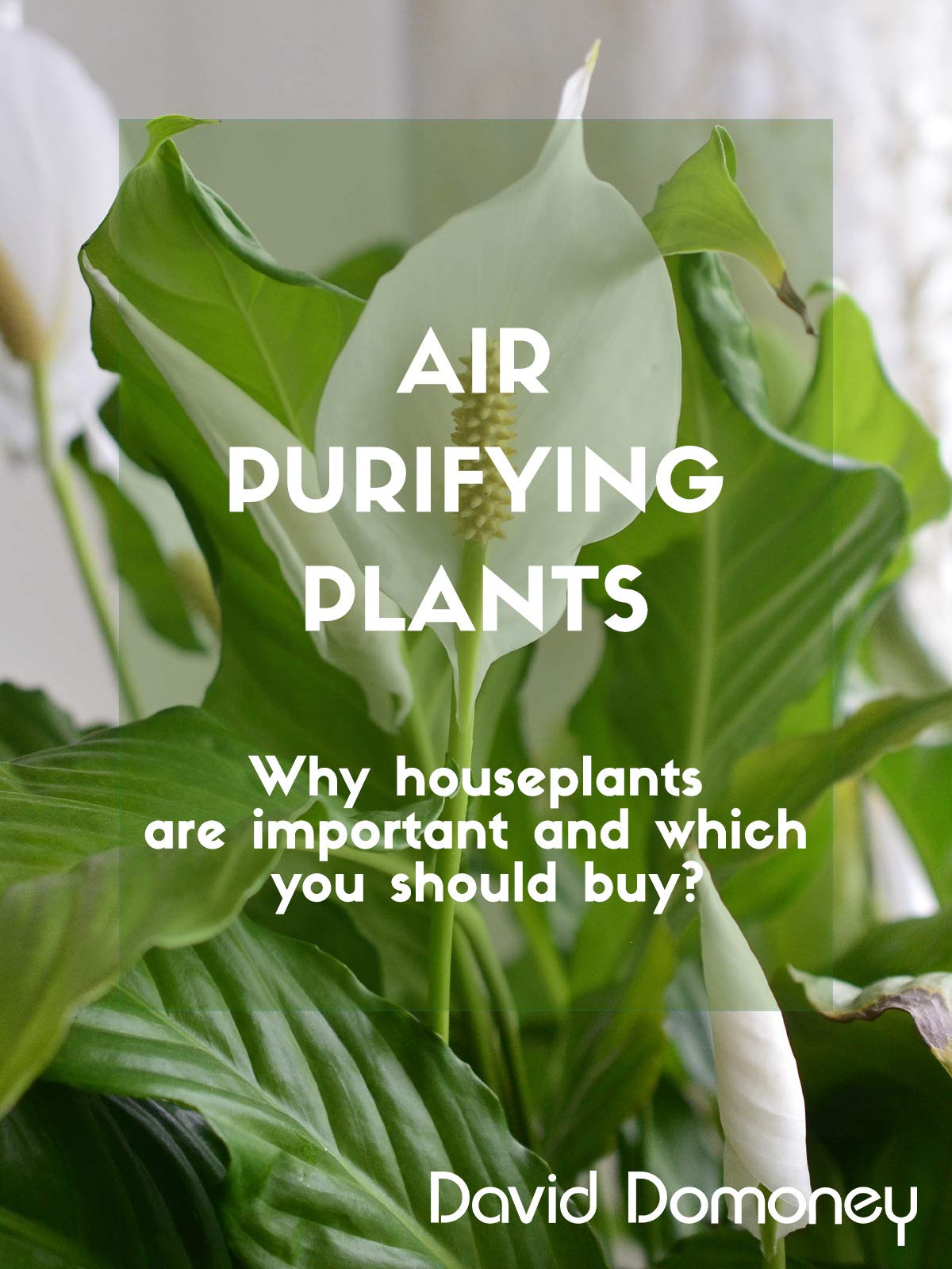Air Purifying Houseplants David Domoney, Bird, Adele Holdsworth Movies & TV