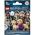 LEGO Harry Potter Fantastic Beasts Hermione Grainger