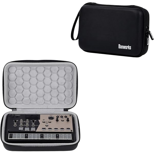 Amazon.com: GEEKRIA Hard Shell Travel Case Compatible with Korg