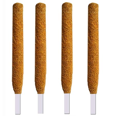 LIVEONCE Coir Moss Stick For Plant Support, Brown, LARGE, 4 Pieces