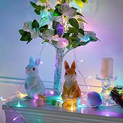 JMEXSUSS 33ft 100 LED Easter Lights for Indoor