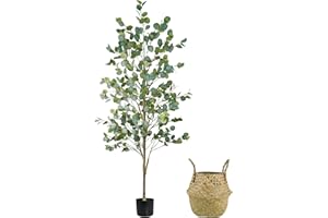 Caxchiling Faux Eucalyptus Tree 6FT, Artificial Potted Tree for Indoor Outdoor, Fake Floor Plants with Natural Wood Trunk, Home Office Living Room Bedroom Decor