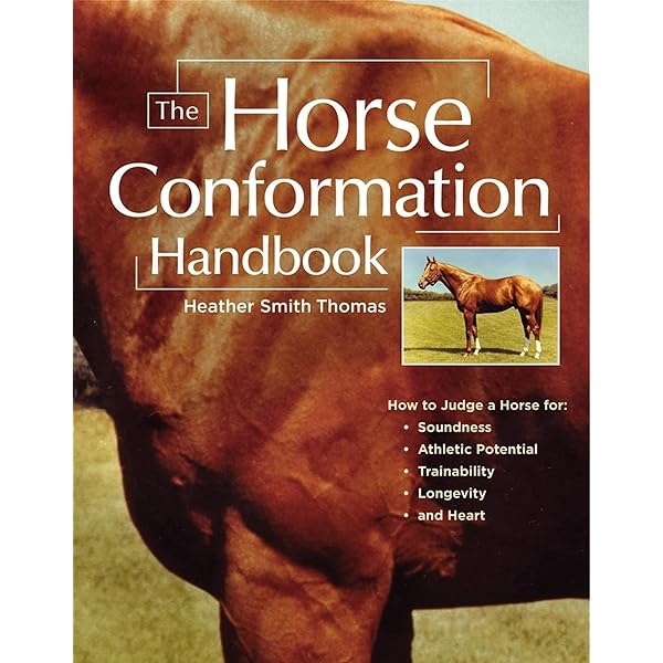 Horselopaedia: A Complete Guide To Horse Care (The Howell Equestrian