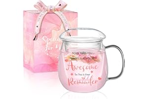 Glass Tea Cup with Infuser and Lid 500ml/17oz Glass Tea Mugs Durable Heat Resistant Suitable Tea Steeper Infuser for Loose Te