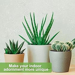 Pulovin 2.5lbs Lava Rocks for Plants, 1/5 Inch