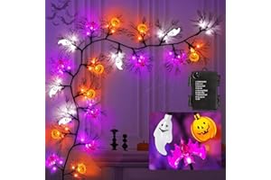 LEASEN [8 Modes & Timer] 6 Ft 45 LED Halloween Willow Vine Twig Garland Decorations with 5 Pumpkin & Bat & Ghost Lights, Halloween Garland with Battery Operated for Home Indoor Wall Fireplace Mantle Decor