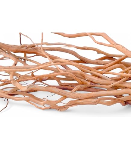 Amazon.com: Nodel design 38kt miyabi wood SUGI Walnut Cedar