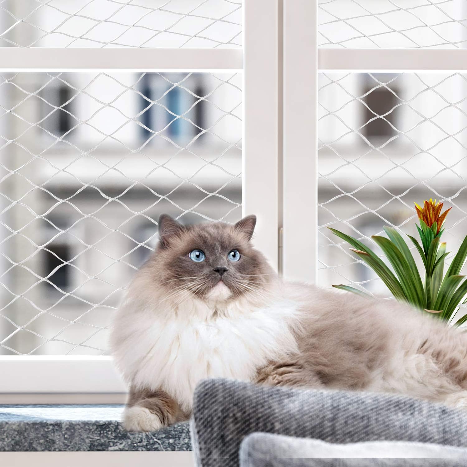 PAWISE Protection Net for Cat Protection Net for Cats Balcony ...