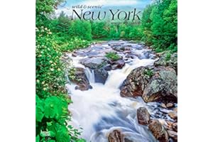 New York Wild & Scenic | 2026 12 x 24 Inch (Hanging) Monthly Square Wall Calendar | Plastic-Free | BrownTrout | USA United States of America Northeast State Nature