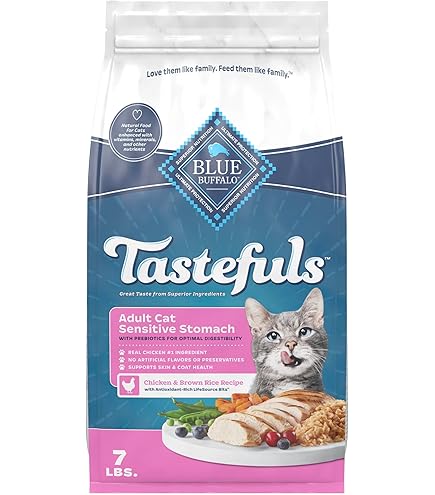 Amazon.com : Abound Grain Free Natural Adult Cat & Kitten Dry Food, Chicken  & Brown Rice, 3.5 lbs : Pet Supplies