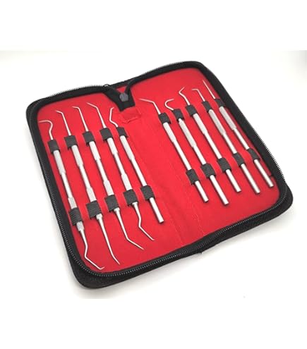 Amazon.com: Set of 6 Stainless Steel Precision Micro Probe