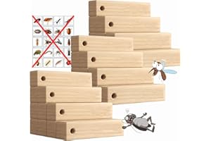 Better Insect Repellent than Cedar Balls 28 PCS Moth Protection Storage Essentials Fresh Cinnamomum Camphora,Camphor wood str