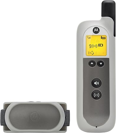 cute black lab puppy names