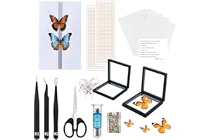 DDDZERONG Insect Specimen kit, Butterfly Specimen Tool for Classroom Teaching, Wing Stand with EVA, Insect Nail, Insect Display Cabinet, Scissors, Tweezers, Instructions