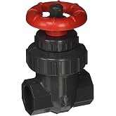 Spears 2022-007 PVC Schedule 80 Gate Valves