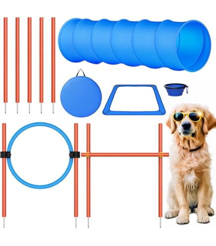 Obstacle Course For Dogs Dog Tunnel, X Dog Agility
