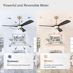 BvenuBigLite Modern Ceiling Fan with Light: Black