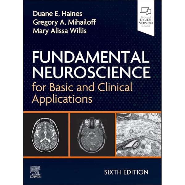 Biokinetics and Biodynamics of Human Differentiation