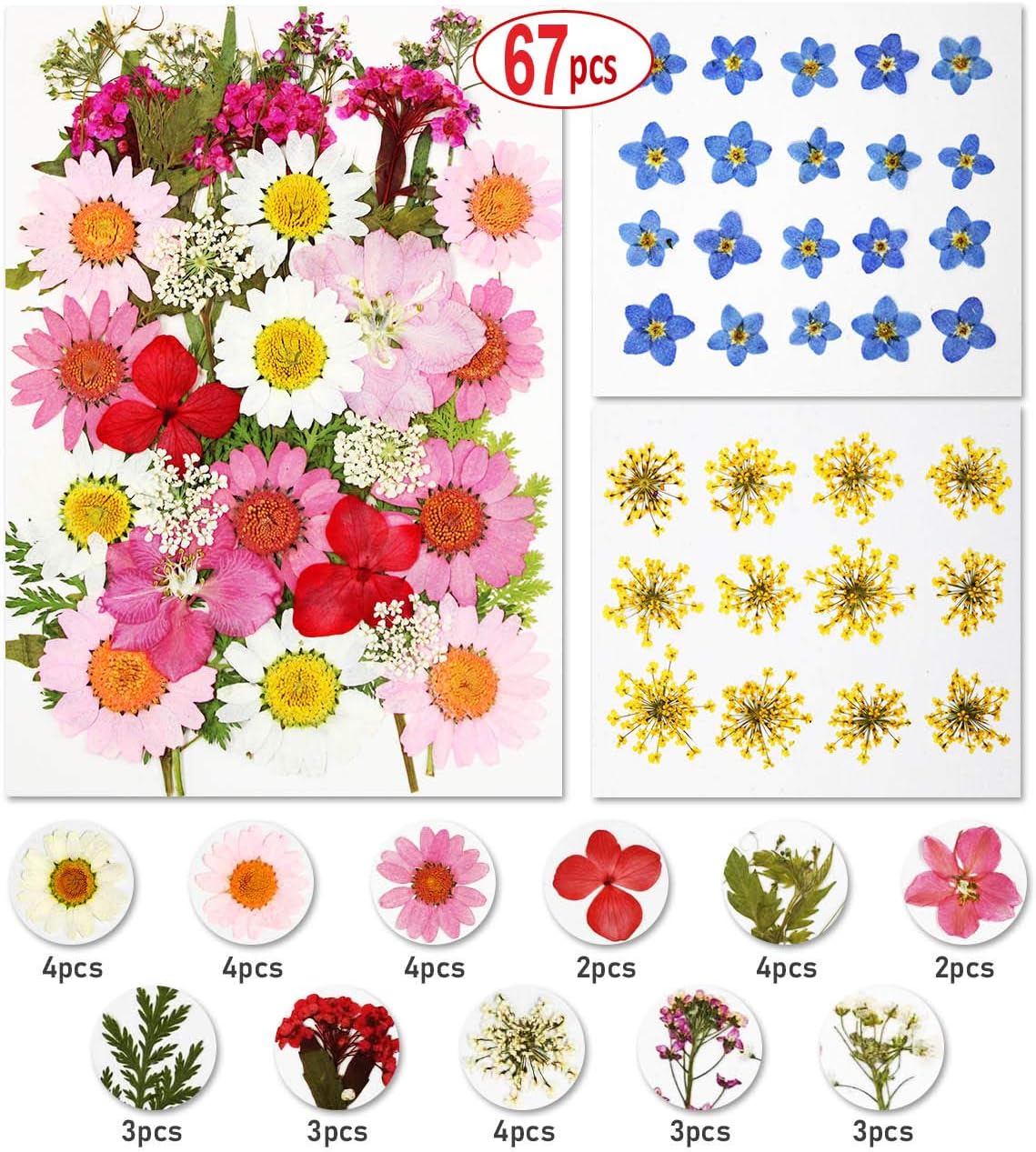 67 PCS Real Dried Pressed Flowers Leaves Petals for Crafts