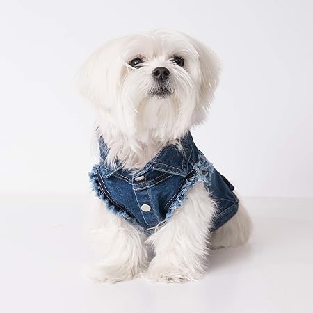 dog jean jacket amazon