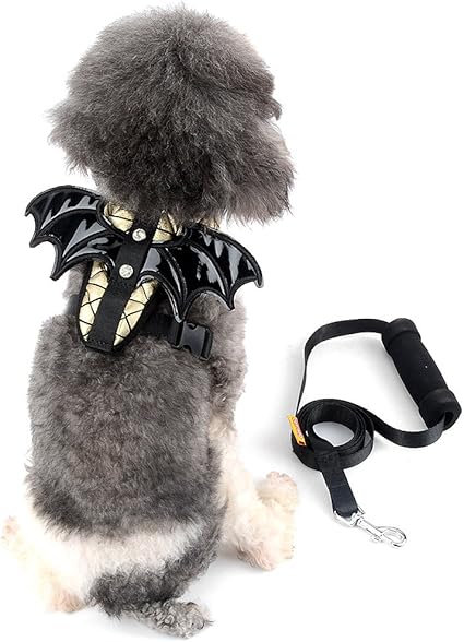 Ranphy Harnais Pour Petit Chien Chat Avec Chauve Souris