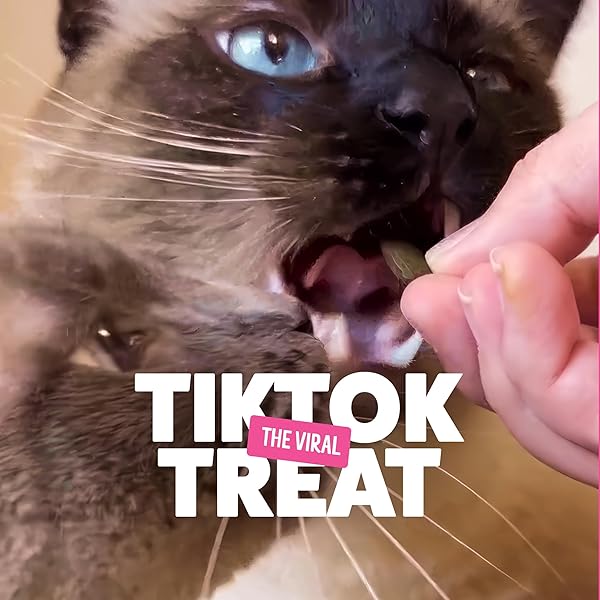 BONKERS CAT BITES, CRUNCHY & SOFT BANGIN’ BEEF FLAVOR TREATS, LOW CALORIE, TRAINING OR FOOD TOPPER, 3 OZ