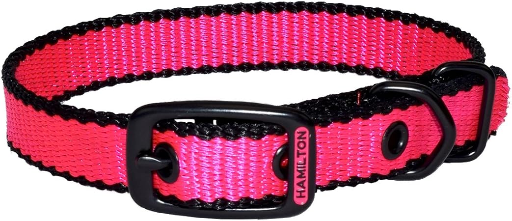 thick dog collars amazon