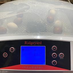 Ridgeyard 56 Huevos Incubadora Hatcher Control de temperatura ...
